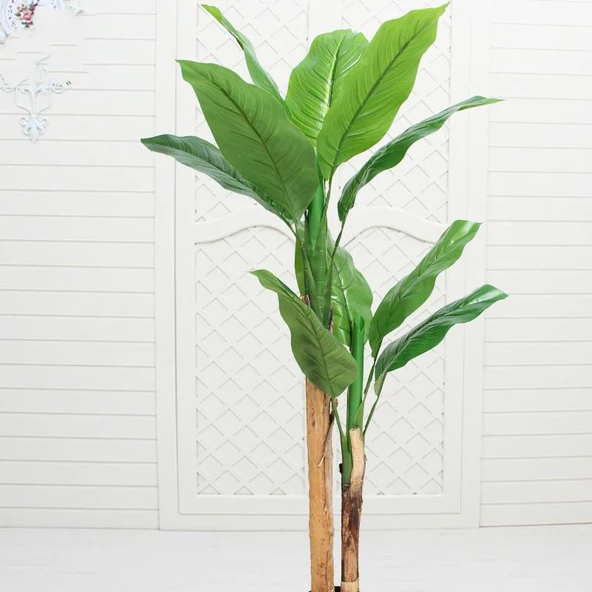 Yapay Ağaç Muz Ağacı Yapay Starliçe 220cm - 5