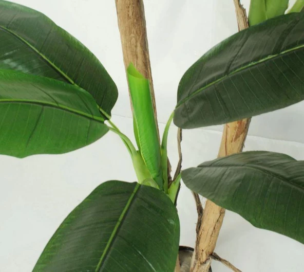 Yapay Ağaç Muz Ağacı Yapay Starliçe 220cm - 2