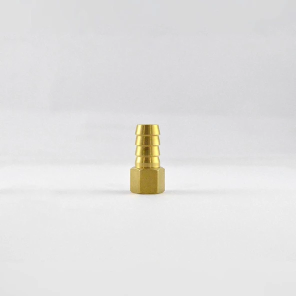 Brio Hava Hortum Dişi Rekoru 1/4 12Mm - 2