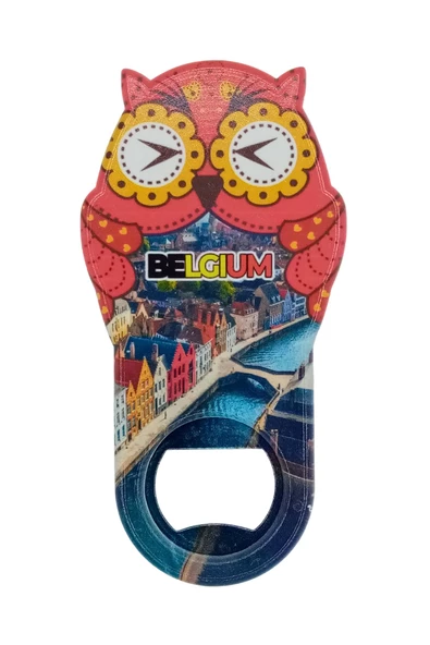 Belçika Temalı Baykuş Magnet Kapak Açacak - Resim 3