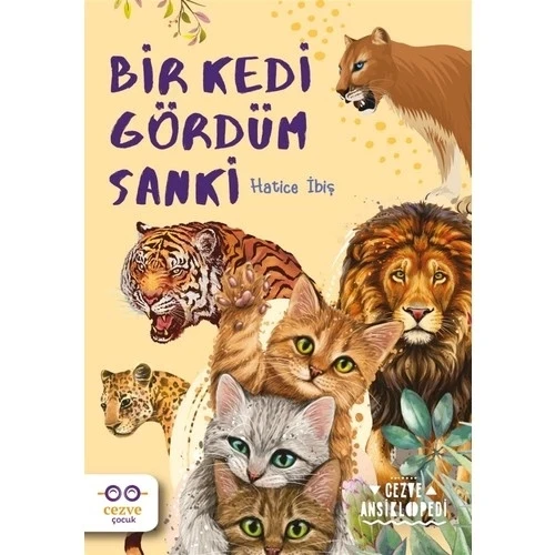 BİR KEDİ GÖRDÜM SANKİ  HATİCE İBİŞ  CEZVE ÇOCUK