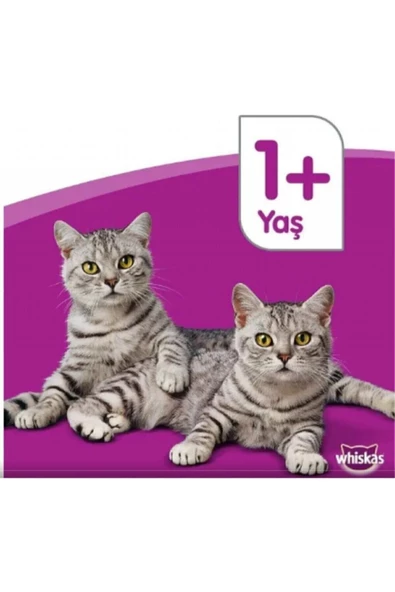 Whiskas Tavuklu Konserve Yetişkin Kedi Maması 12 x 400 G - 2