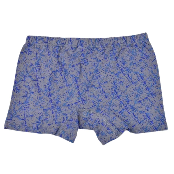 Erkek Baskılı Likra Boxer BGL-ST03866 - Resim 12