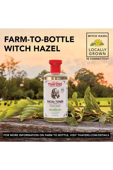 Thayers Cadı Fındığı ve Salatalık Yüz Toniği 355ML - Resim 7