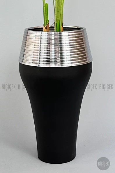 BİÇİÇEK 220cm Starliçe Bitkisi Cleopatra saksıda siyah gümüş - 3