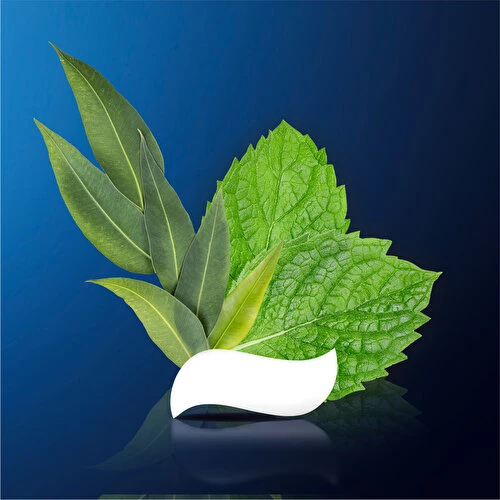 Oral-B Pro Sensitive Diş Macunu Nane 75 Ml - 7