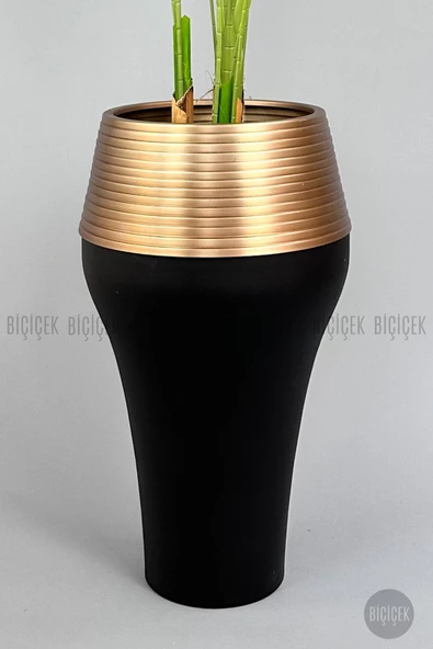 BİÇİÇEK 220cm Starliçe Bitkisi Cleopatra saksıda siyah gold - 3