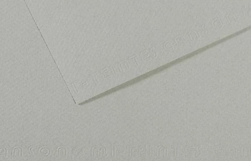 Canson Fon Kartonu (Dokulu) Mı-Teıntes Sh Canmt 50x65 160 GR Grey 354