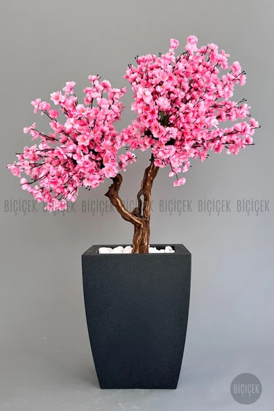 BİÇİÇEK   Bonzai gövdeli Pembe Sakura Ağacı 150cm Dış Mekana Uygun - Resim 8