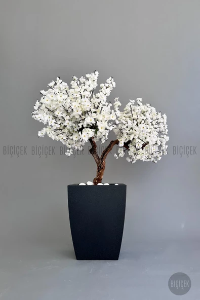 BİÇİÇEK   Bonzai gövdeli Beyaz Sakura Ağacı 150cm Dış Mekana Uygun - Resim 2