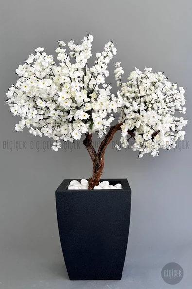 BİÇİÇEK   Bonzai gövdeli Beyaz Sakura Ağacı 150cm Dış Mekana Uygun - Resim 6