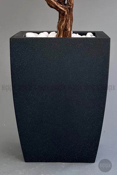 BİÇİÇEK   Bonzai gövdeli Pembe Sakura Ağacı 150cm Dış Mekana Uygun - Resim 3