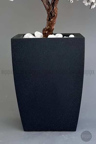 BİÇİÇEK   Bonzai gövdeli Beyaz Sakura Ağacı 150cm Dış Mekana Uygun - Resim 4
