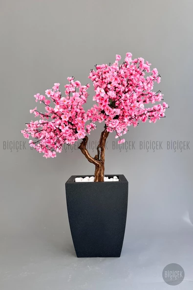 BİÇİÇEK   Bonzai gövdeli Pembe Sakura Ağacı 150cm Dış Mekana Uygun - Resim 7