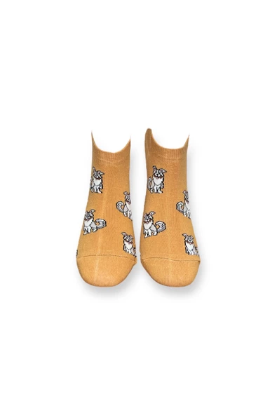 Me-vo Tekli Kahverengi Renkli Bay/Bayan Unisex Esnek Nem Alabilen Pamuklu Köpek Desenli Patik Çorap - Resim 3