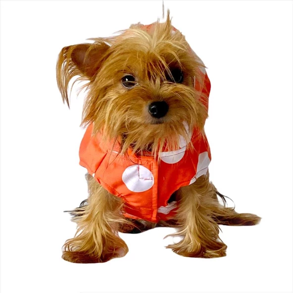 Mega Dots Orange Yağmurluk Kapşonlu  Köpek Yağmurluğu - 5