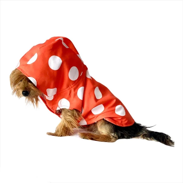 Mega Dots Orange Yağmurluk Kapşonlu Köpek Yağmurluğu - 2