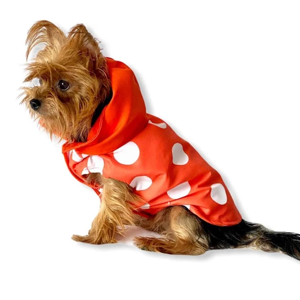 Mega Dots Orange Yağmurluk Kapşonlu Köpek Yağmurluğu
