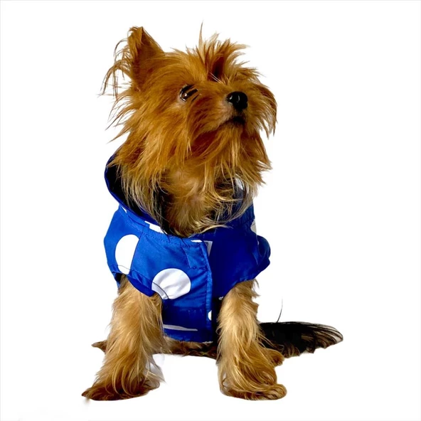 Mega Dots Blue Yağmurluk Kapşonlu  Köpek Yağmurluğu - 3