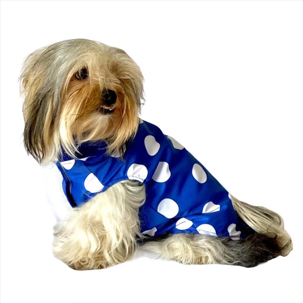 Puantiyeli Mavi Yağmurluk Kapşonlu  Köpek Yağmurluğu - 3