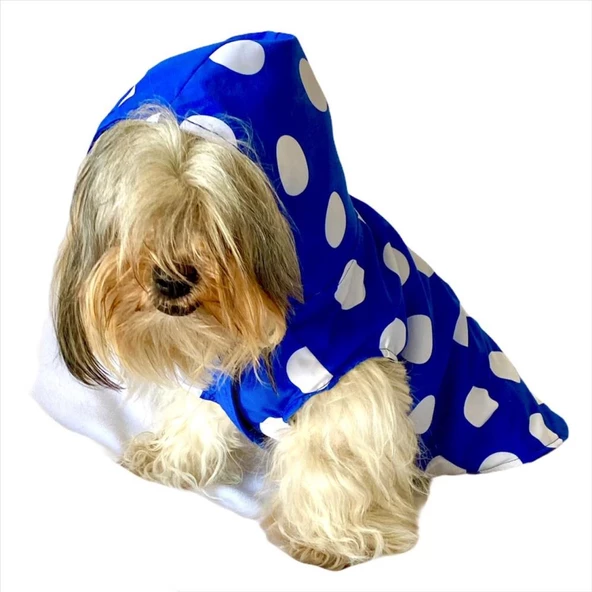 Puantiyeli Mavi Yağmurluk Kapşonlu  Köpek Yağmurluğu