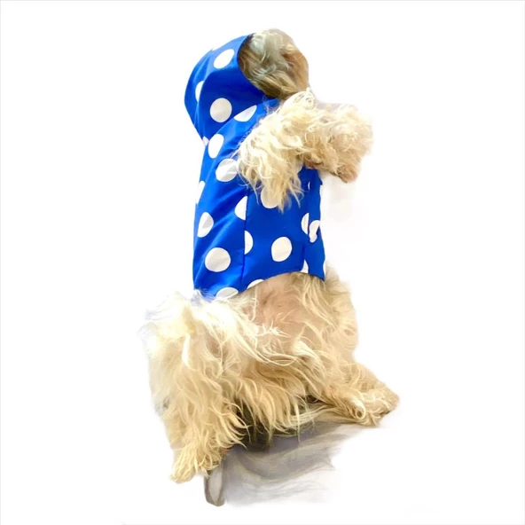 Puantiyeli Mavi Yağmurluk Kapşonlu  Köpek Yağmurluğu - 9