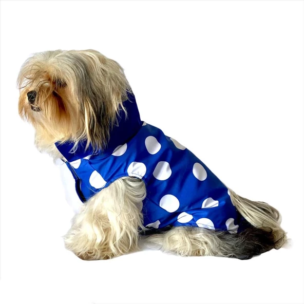 Puantiyeli Mavi Yağmurluk Kapşonlu  Köpek Yağmurluğu - 7