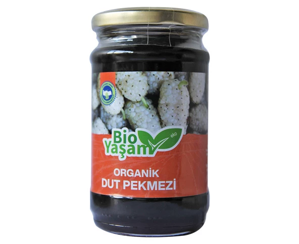 ORGANİK DUT PEKMEZİ