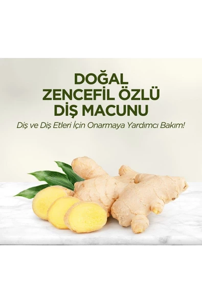EYÜP SABRİ TUNCER DOĞAL ZENCEFİL ÖZLÜ DİŞ MACUNU 90 ML - 2