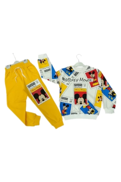 Erkek Çocuk Karekter Baskılı   2 İp 3/7 Yaş  Eşofman Takımı