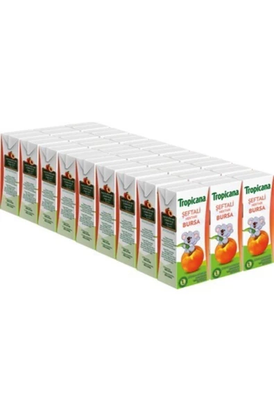 Tropicana Tropıcana Meyve Suyu Şeftali 200 ml 27 Adet