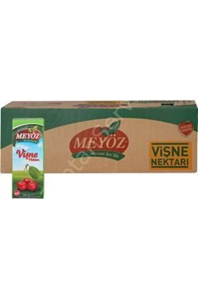 Meyöz meyve suyu Vişne 200ml 27 Adet