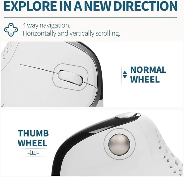 DeLUX Seeker Kablosuz Ergonomik Dikey Mouse, OLED Ekran - M618SXD-Beyaz - 4