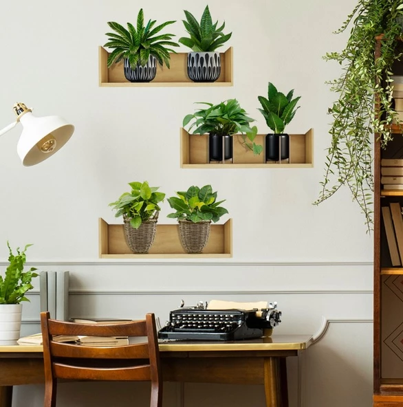 Raflı Bitki Tasarımlı Yapışkanlı Sticker 20*30 cm 3lü Set - Resim 3