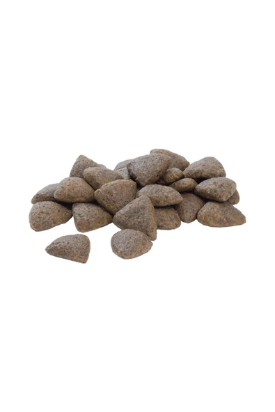 Pro Plan Köpek Maması Medium Adult Tavuklu 16,5 Kg - Resim 3