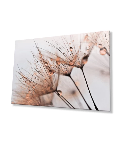 Kahverengi Karahindiba Cam Tablo - 5