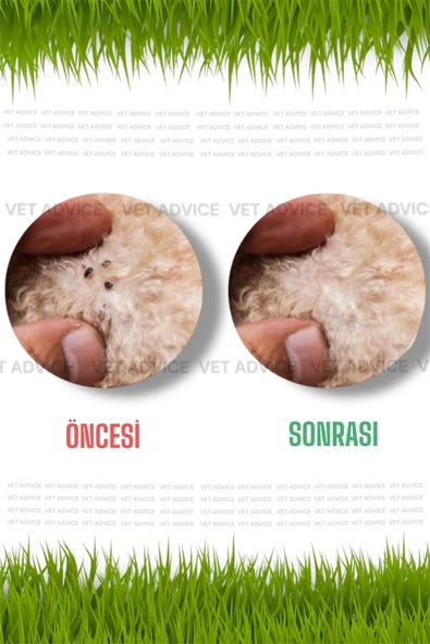 vet advice Kedi Köpek Iç Dış Deri Tüy Bakım Damlası 3'lü Paket %100 Bitkisel Içerik - 3