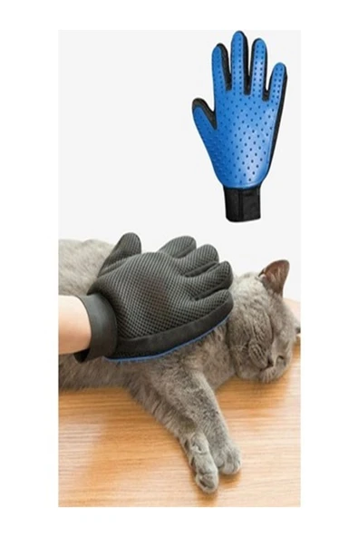 vet advice Kedi Köpek Tüy toplama eldiveni yumuşak dokulu - Resim 2