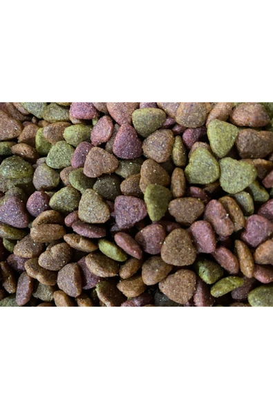 Lina Yetişkin Kediler Için Gurme Lezzetinde Karışık Premium Mama 15 Kg - 2