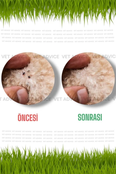 vet advice Kedi Köpek 3'lü Iç Dış Tüy Bakım Seti Bitkisel Tablet Damla - Resim 2