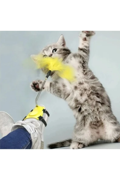 vet advice Kedi Tüylü Ayak Oltası Renkli Adet - Resim 4