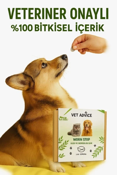 vet advice Kedi Köpek Iç Dış Tüy Ve Deri Bakım Damla Tablet 2'li Avantajlı Paket %100 Bitkisel Içerik (PARAZİT) - 4