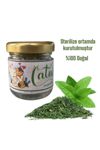 Catnip Kedi Otu Kurutulmuş %100 Doğal kedi sakinleştirici