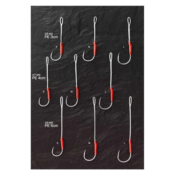 T2995  Standart S - Resim 2