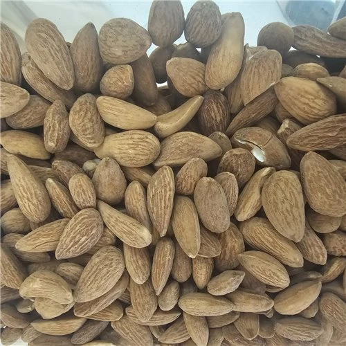 Kavrulmuş Badem 500Gr