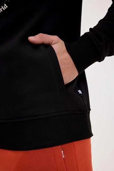 BAD BEAR ERKEK STEVE HOODIE 24.02.12.011 - 6