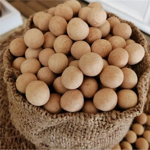 Çıtır Leblebi 500gr - Resim 2