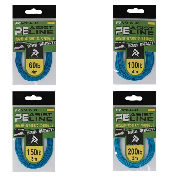 Ryuji Assist PE Line (Blue)  Standart 100LB