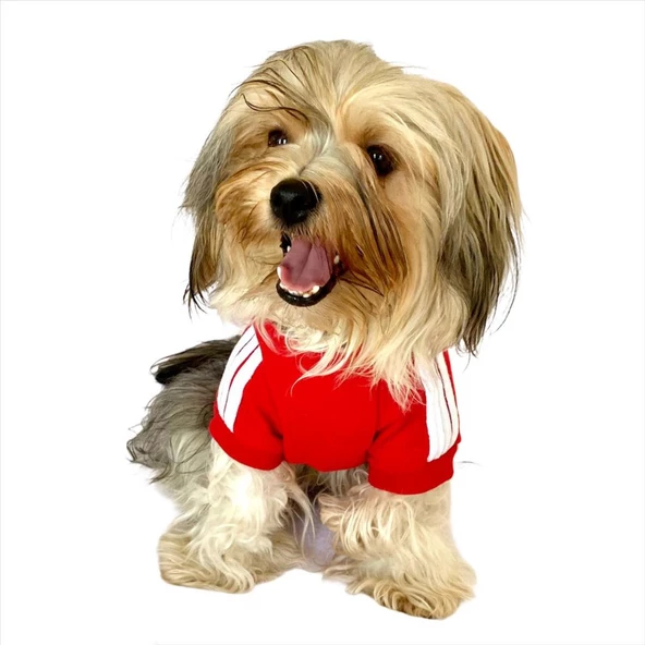 Kırmızı Adidog Kapşonlu Köpek Sweatshirt Köpek Kazağı - 6