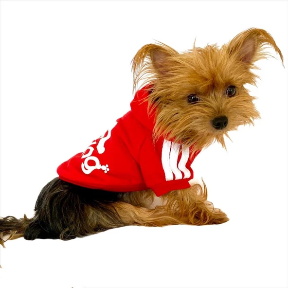Kırmızı Adidog Kapşonlu Köpek Sweatshirt Köpek Kazağı - 3